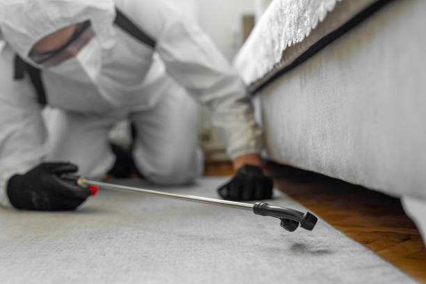 Professional Bed Bug Control technician working in Downey, CA