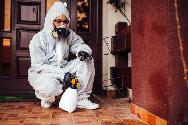 Reliable Bed Bug Control contractor in Downey, CA by Nex Pest Control